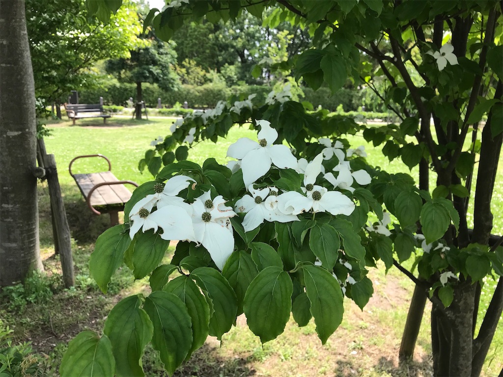 f:id:edwalk:20180601113503j:image