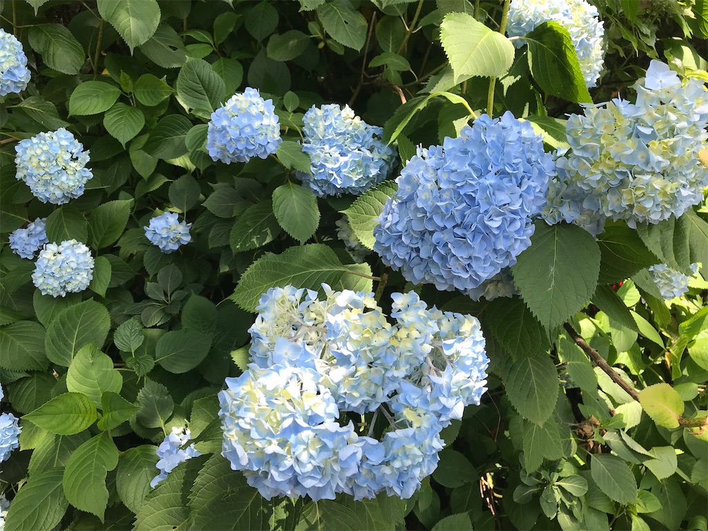 f:id:edwalk:20180608134757j:image f:id:edwalk:20180608134757j:image