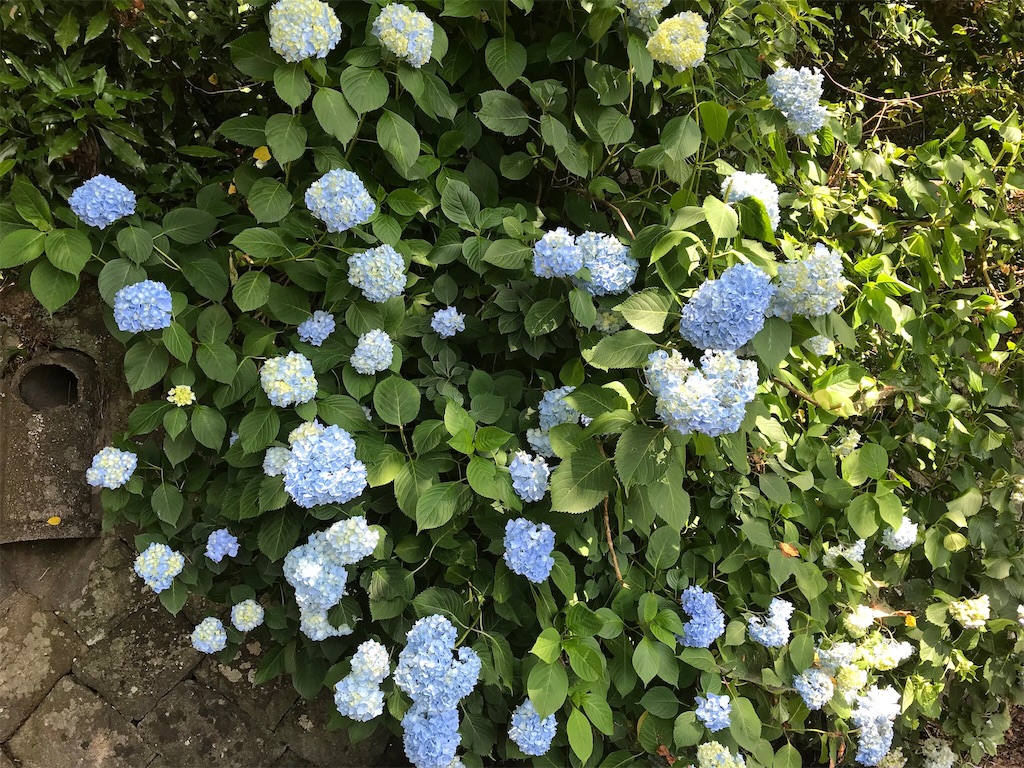 f:id:edwalk:20180608134804j:image f:id:edwalk:20180608134804j:image