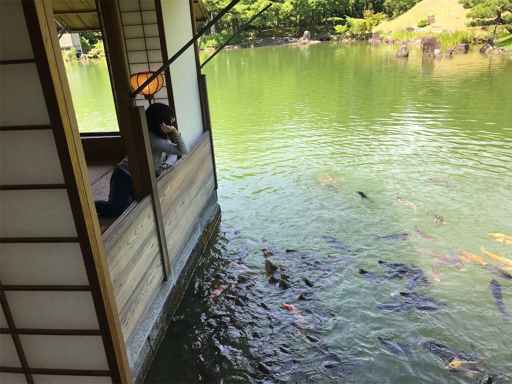 f:id:edwalk:20180617144400j:image f:id:edwalk:20180617144400j:image