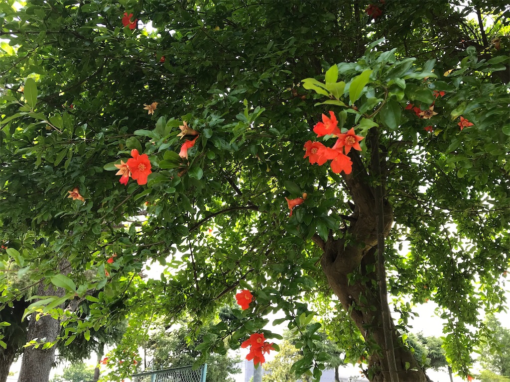f:id:edwalk:20180624133351j:image