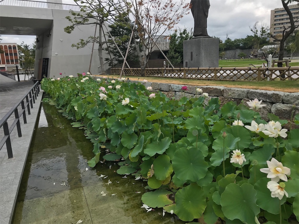 f:id:edwalk:20180808172126j:image