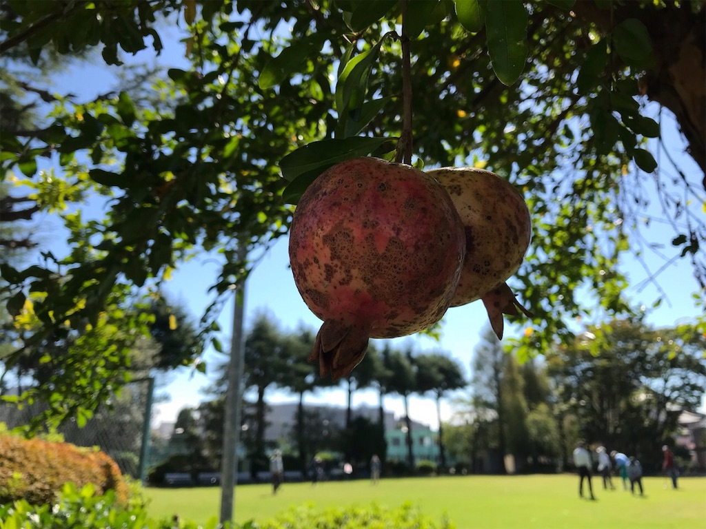 f:id:edwalk:20181004134636j:image