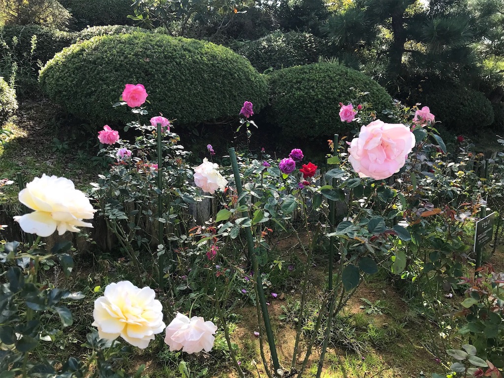 f:id:edwalk:20181026193519j:image f:id:edwalk:20181026193519j:image