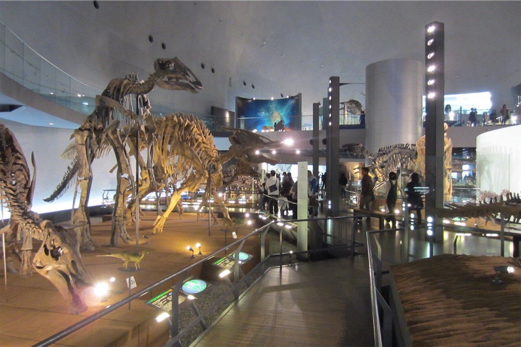 f:id:edwalk:20181103184509j:image f:id:edwalk:20181103184509j:image