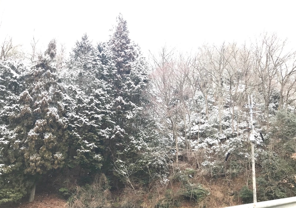 f:id:edwalk:20190214202249j:image