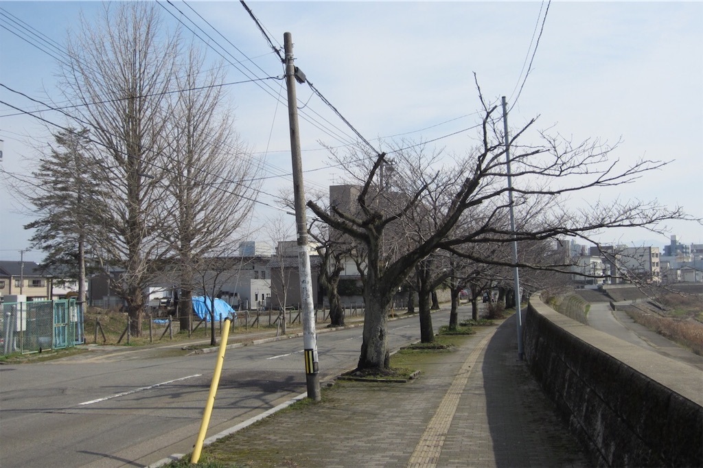 f:id:edwalk:20190222124234j:image f:id:edwalk:20190222124234j:image