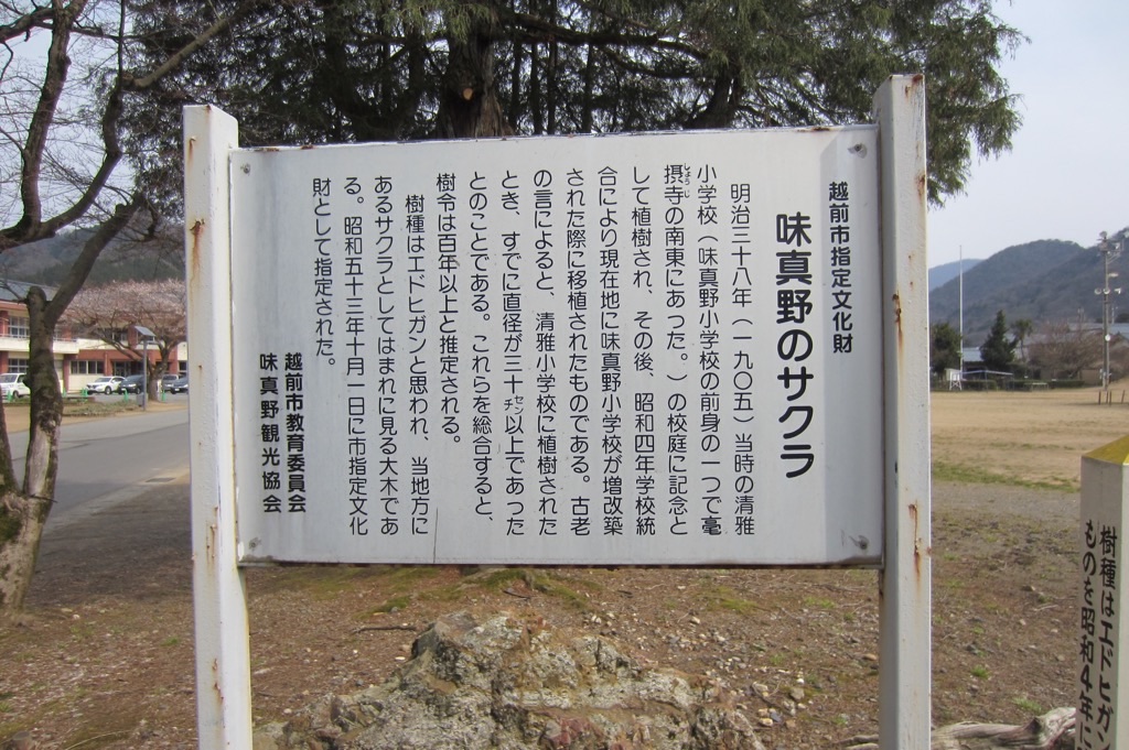 f:id:edwalk:20190327211617j:image