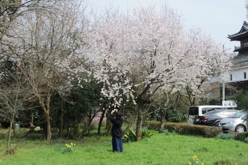 f:id:edwalk:20190327213527j:image
