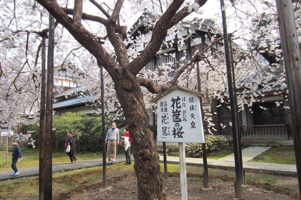f:id:edwalk:20190327213643j:image