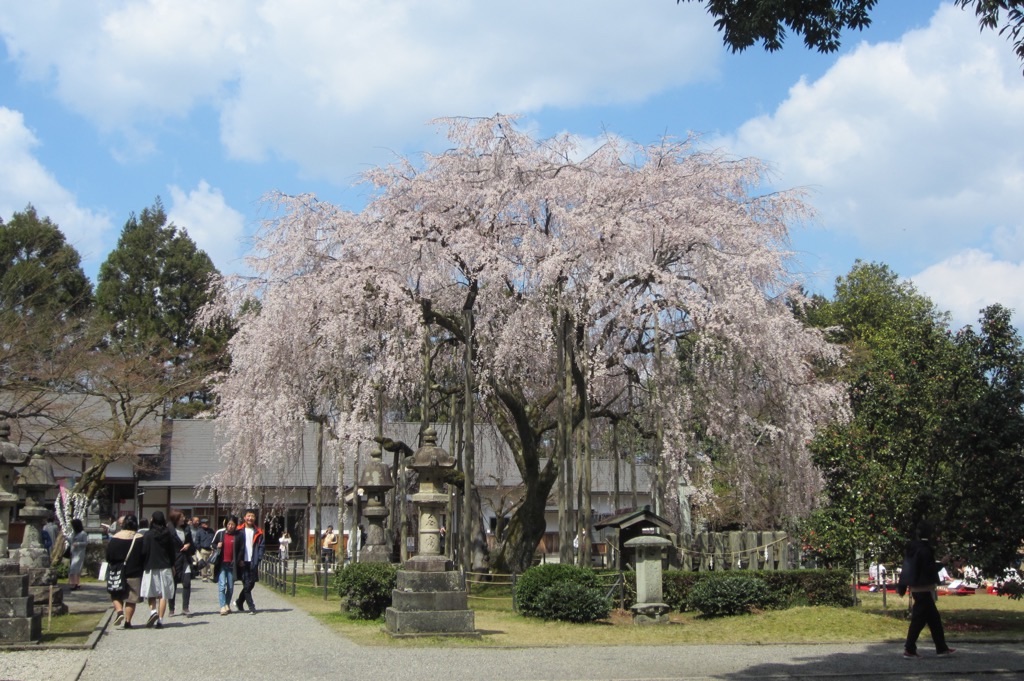 f:id:edwalk:20190404173516j:image f:id:edwalk:20190404173516j:image