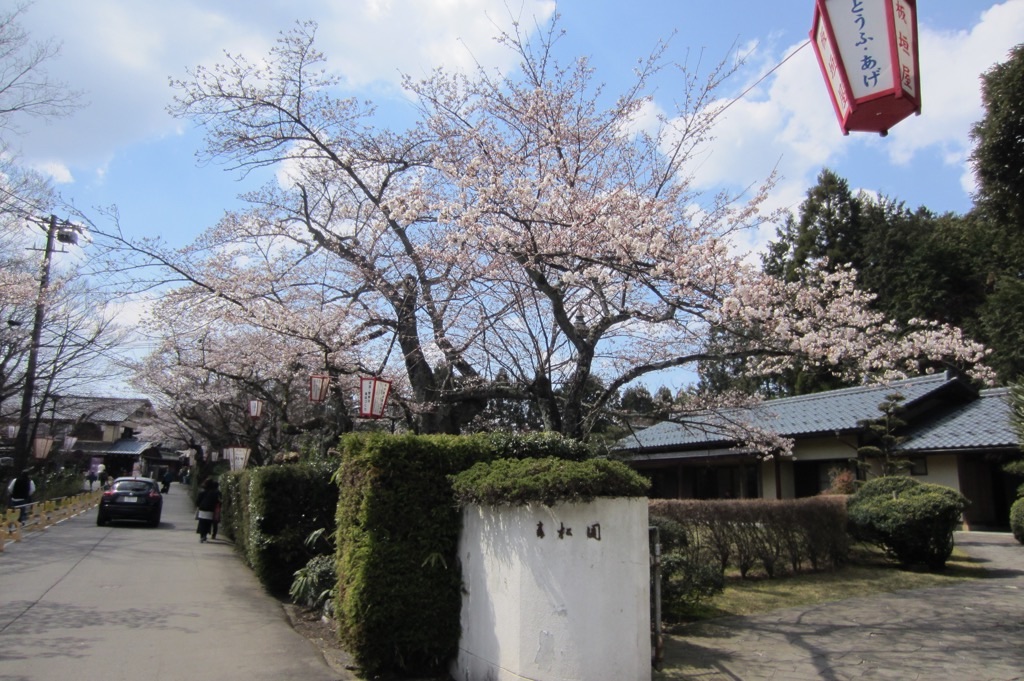 f:id:edwalk:20190404173633j:image f:id:edwalk:20190404173633j:image