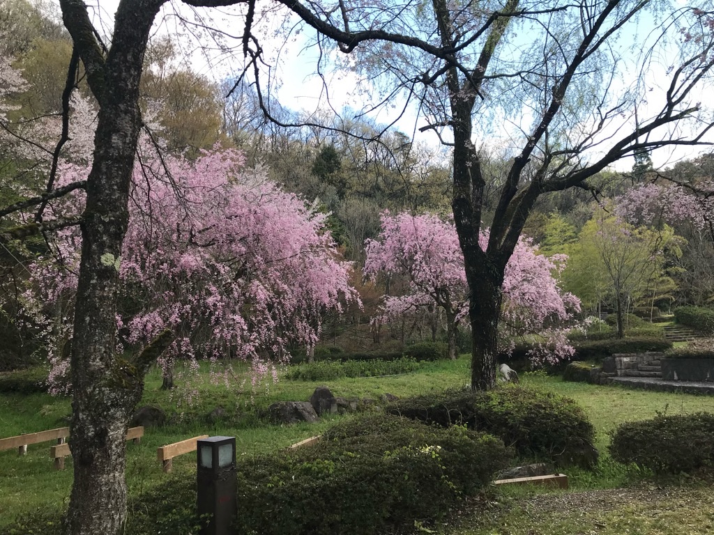 f:id:edwalk:20190415201255j:image
