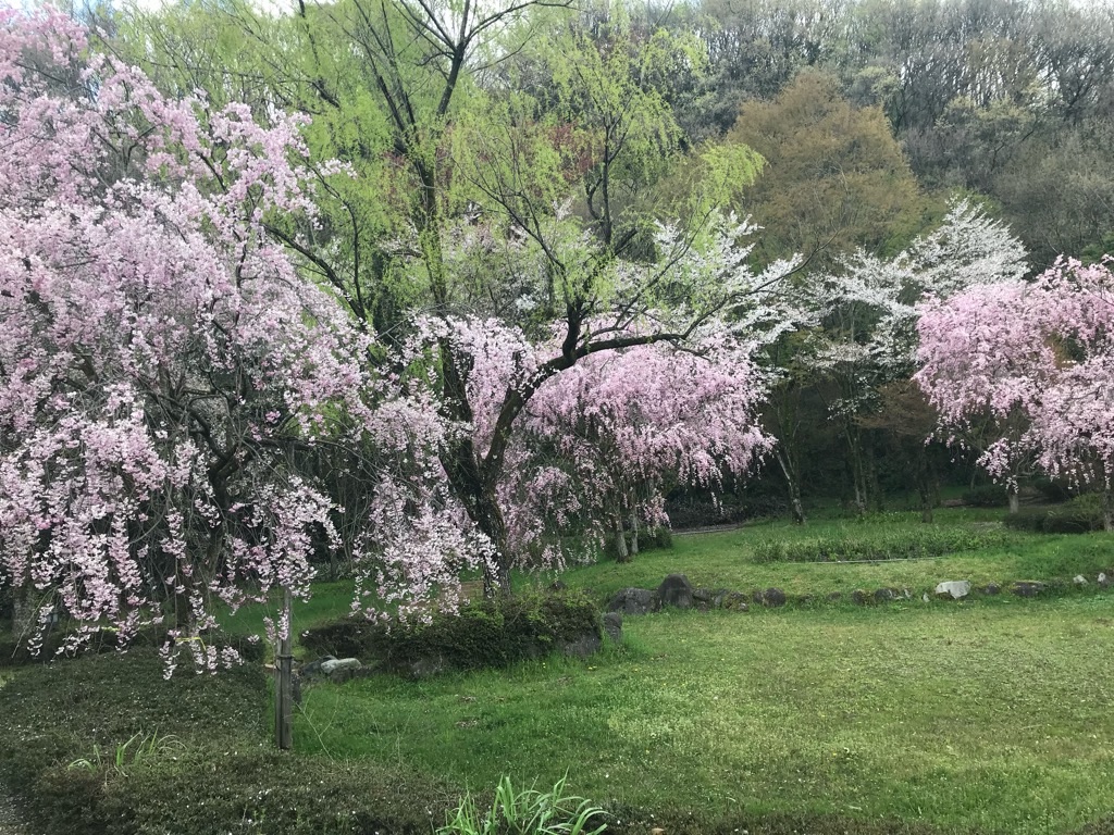 f:id:edwalk:20190415201303j:image
