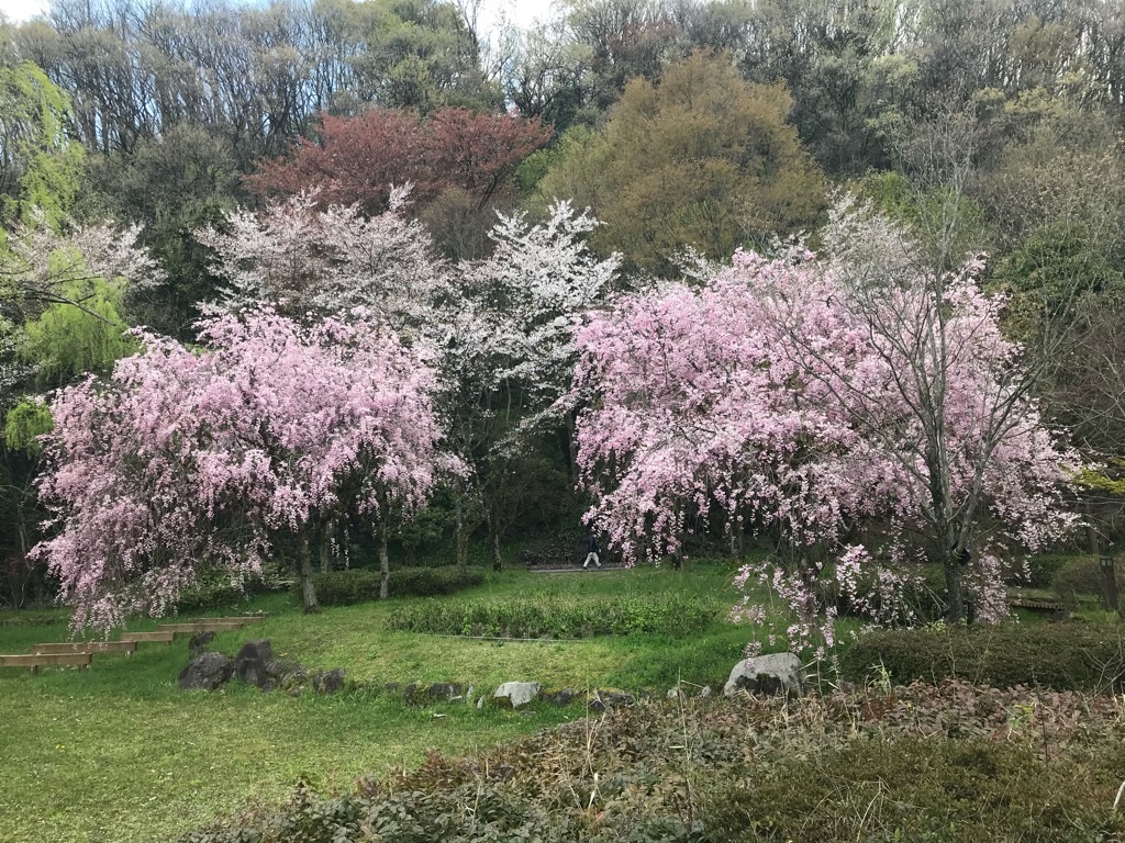 f:id:edwalk:20190415201306j:image