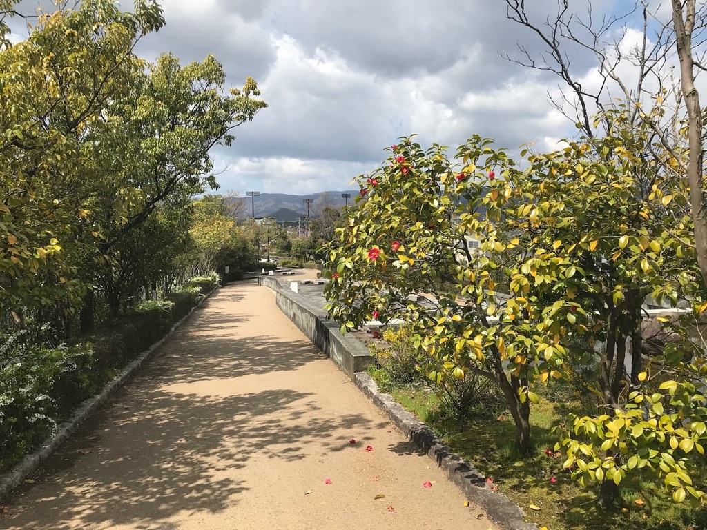 f:id:edwalk:20190415201449j:image