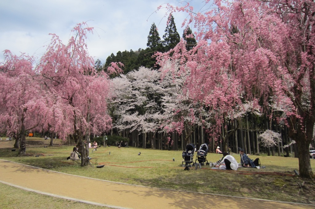 f:id:edwalk:20190417214032j:image