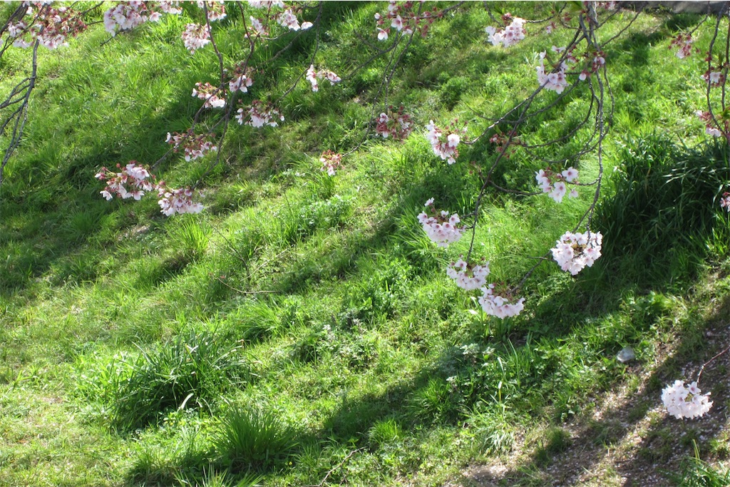 f:id:edwalk:20190419072713j:image f:id:edwalk:20190419072713j:image