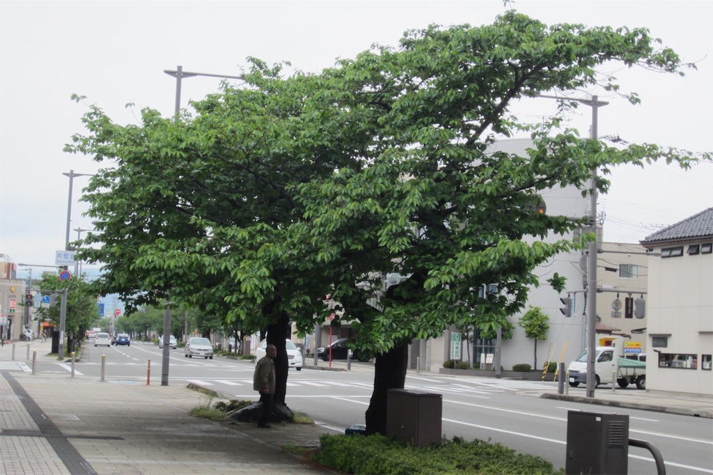 f:id:edwalk:20190430123157j:image