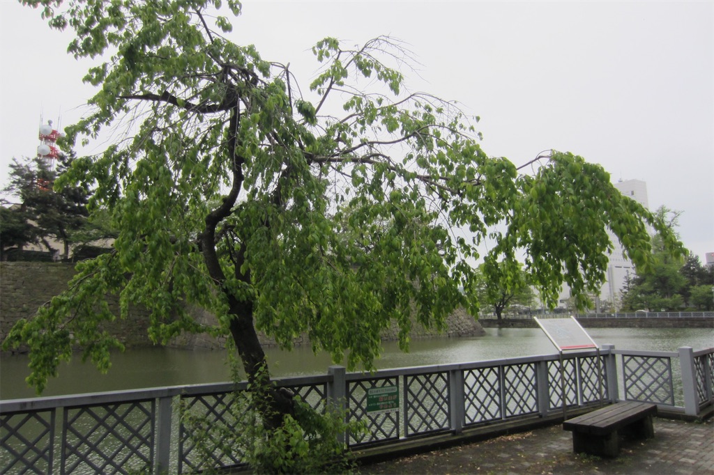 f:id:edwalk:20190430123204j:image