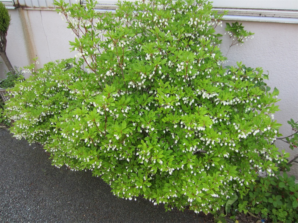 f:id:edwalk:20190503154433j:image f:id:edwalk:20190503154433j:image