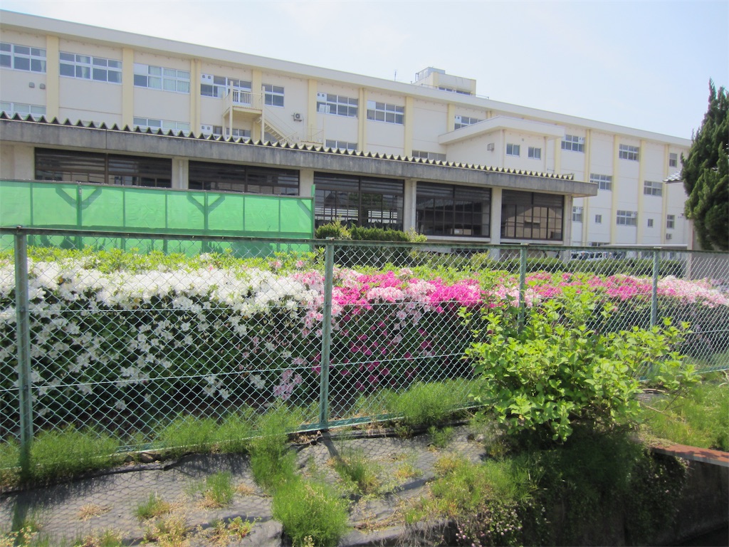 f:id:edwalk:20190503154445j:image f:id:edwalk:20190503154445j:image