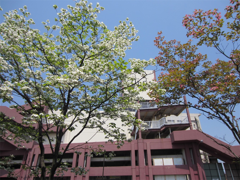 f:id:edwalk:20190503154451j:image f:id:edwalk:20190503154451j:image