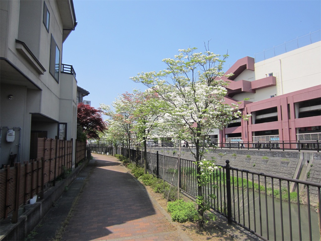 f:id:edwalk:20190503154722j:image f:id:edwalk:20190503154722j:image