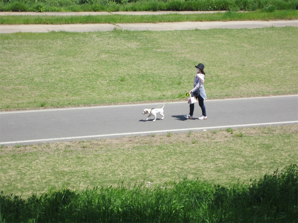 f:id:edwalk:20190511122157j:image