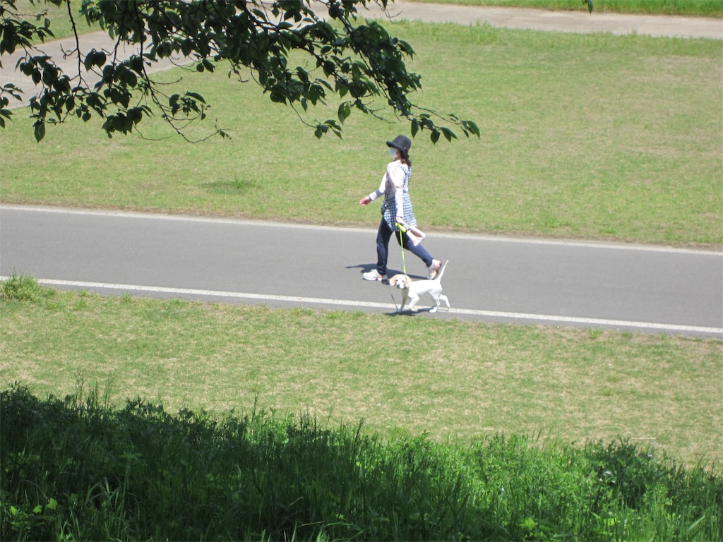 f:id:edwalk:20190511122345j:image