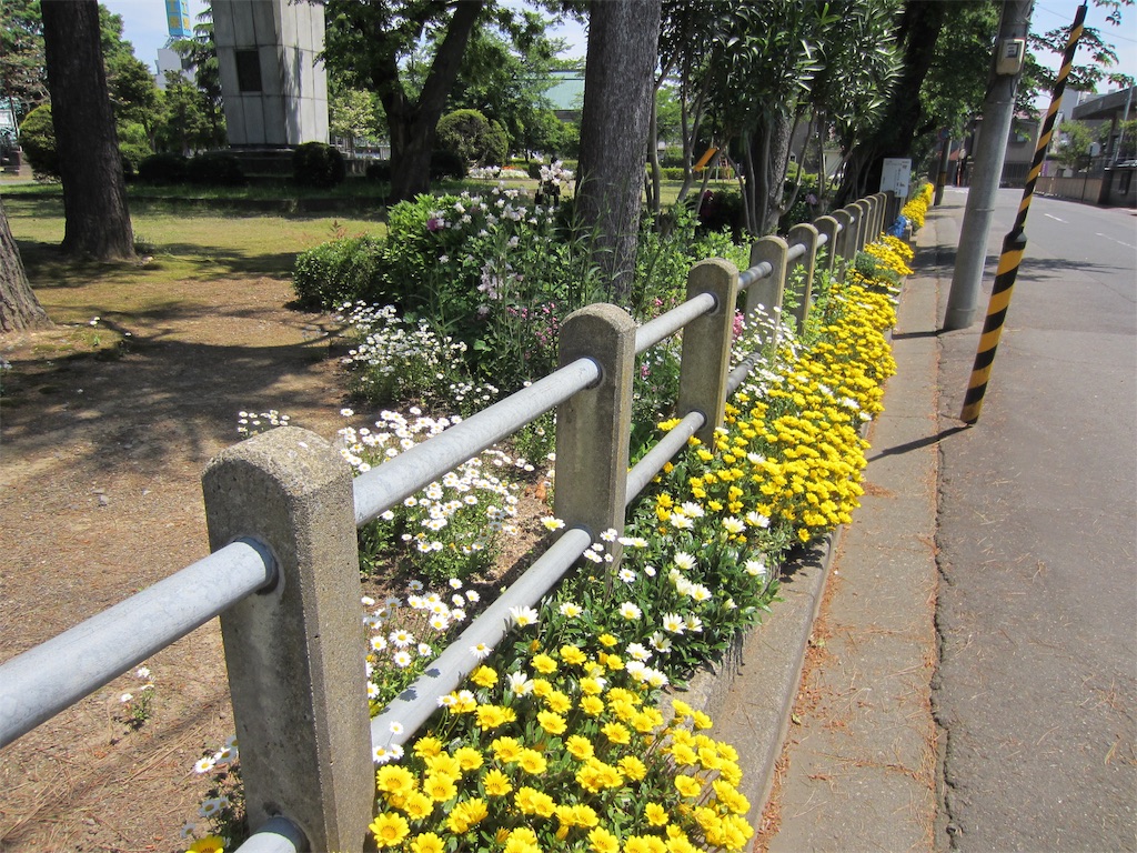 f:id:edwalk:20190511122549j:image