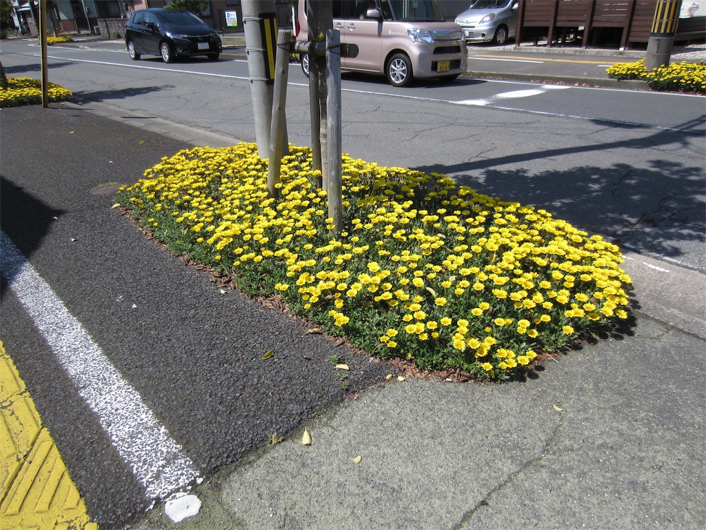 f:id:edwalk:20190515213554j:image