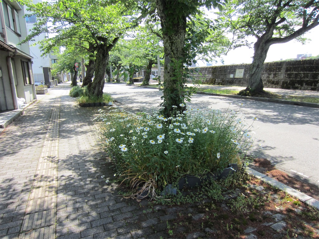 f:id:edwalk:20190515213631j:image