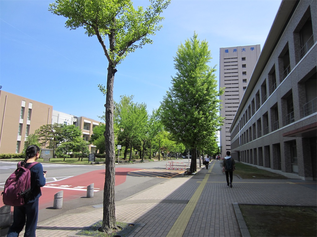 f:id:edwalk:20190516125148j:image