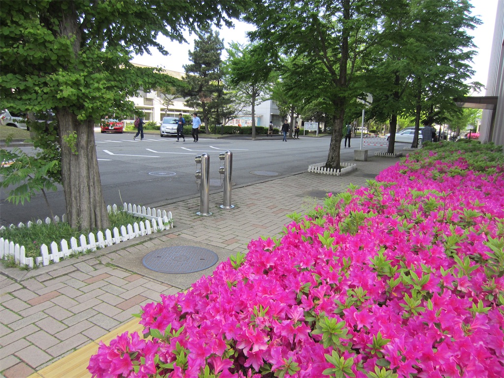 f:id:edwalk:20190516125151j:image