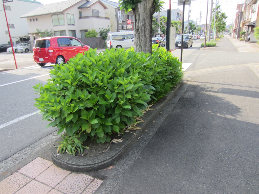 f:id:edwalk:20190517121124j:image