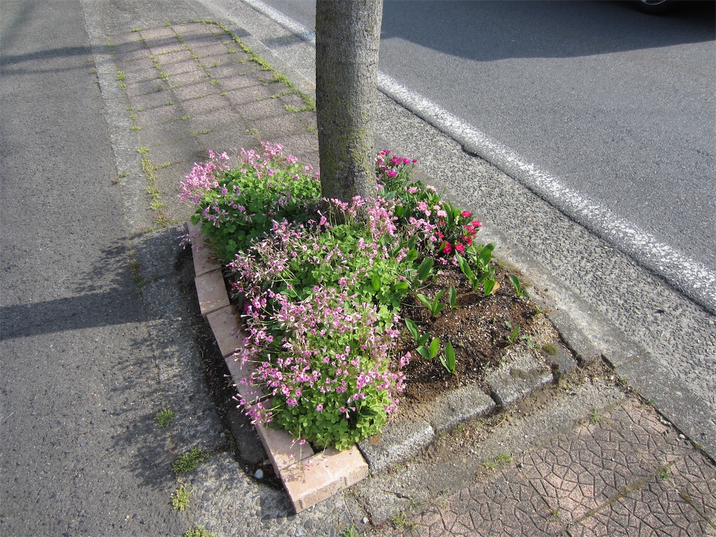 f:id:edwalk:20190517121128j:image