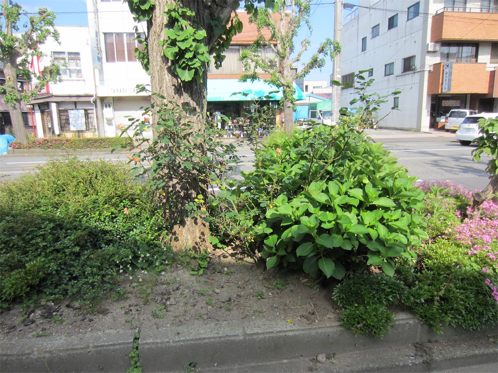 f:id:edwalk:20190517121412j:image