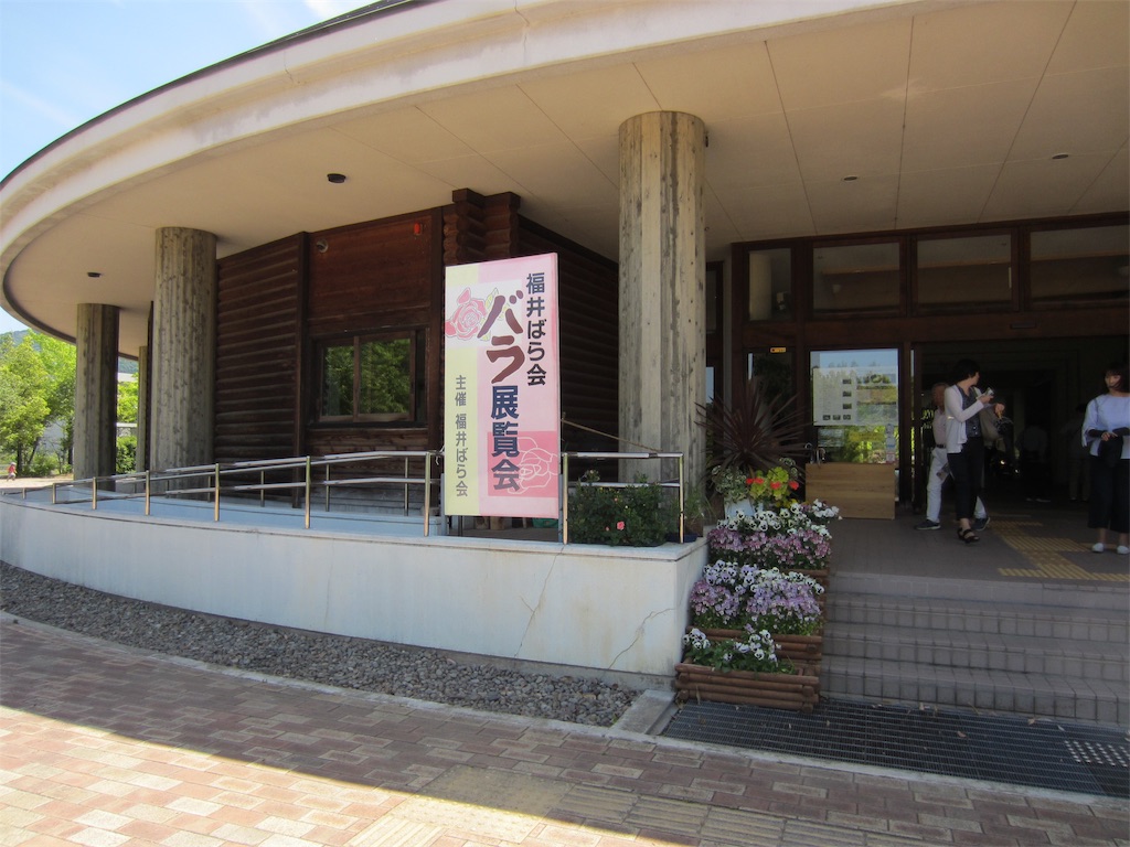 f:id:edwalk:20190523151703j:image