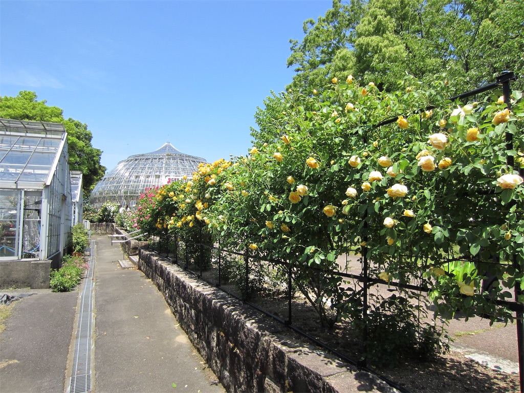 f:id:edwalk:20190523151949j:image
