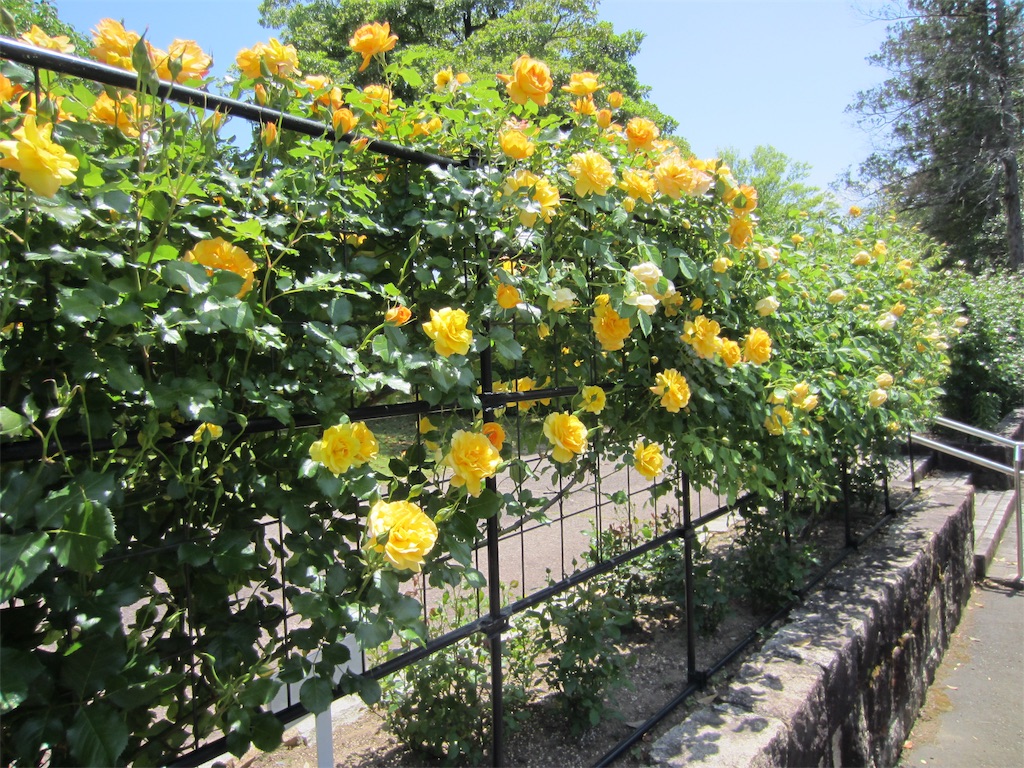 f:id:edwalk:20190523151956j:image