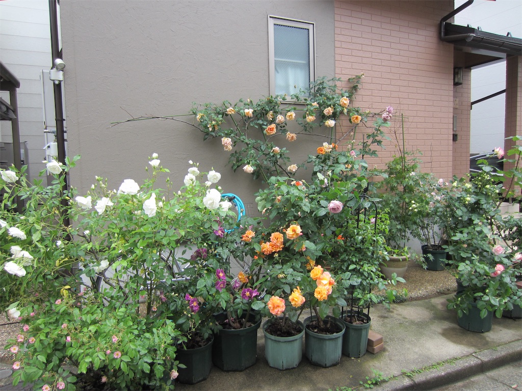 f:id:edwalk:20190523152120j:image