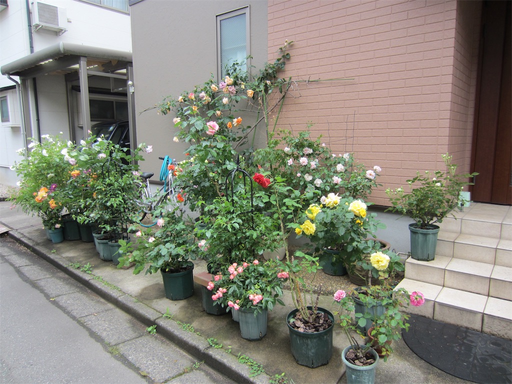 f:id:edwalk:20190523152124j:image
