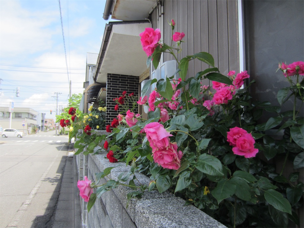 f:id:edwalk:20190523152335j:image