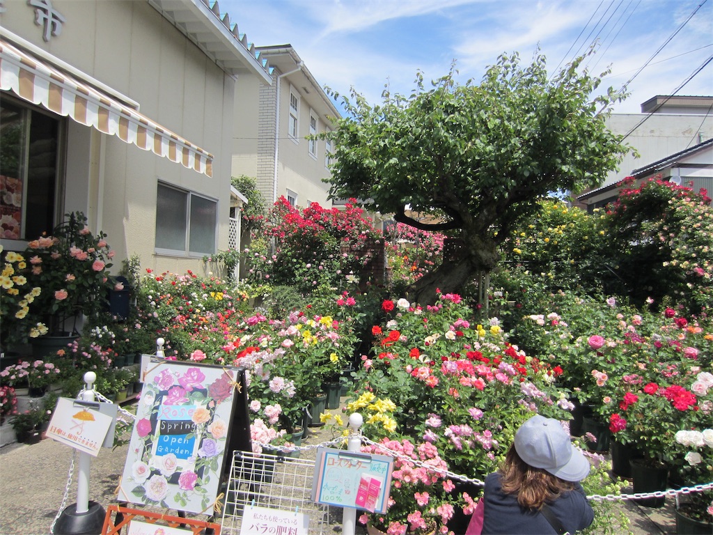 f:id:edwalk:20190523152646j:image