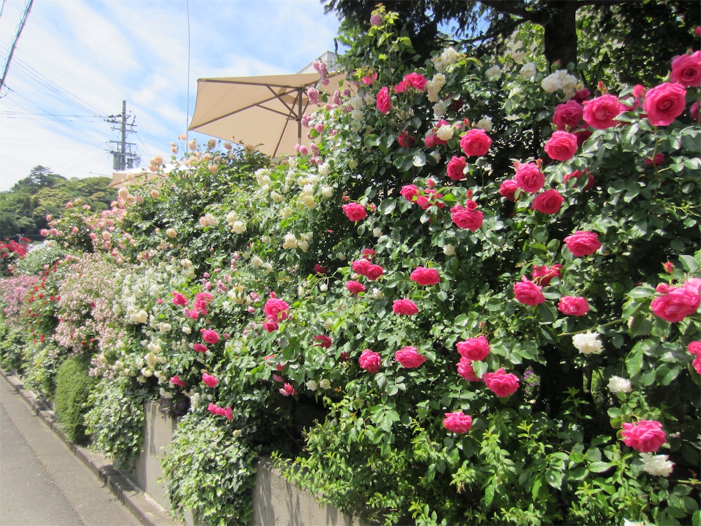 f:id:edwalk:20190523152652j:image