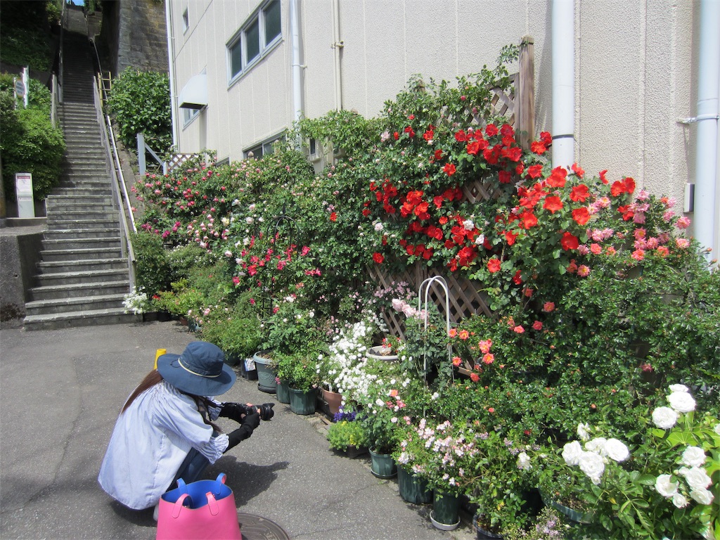 f:id:edwalk:20190523152655j:image