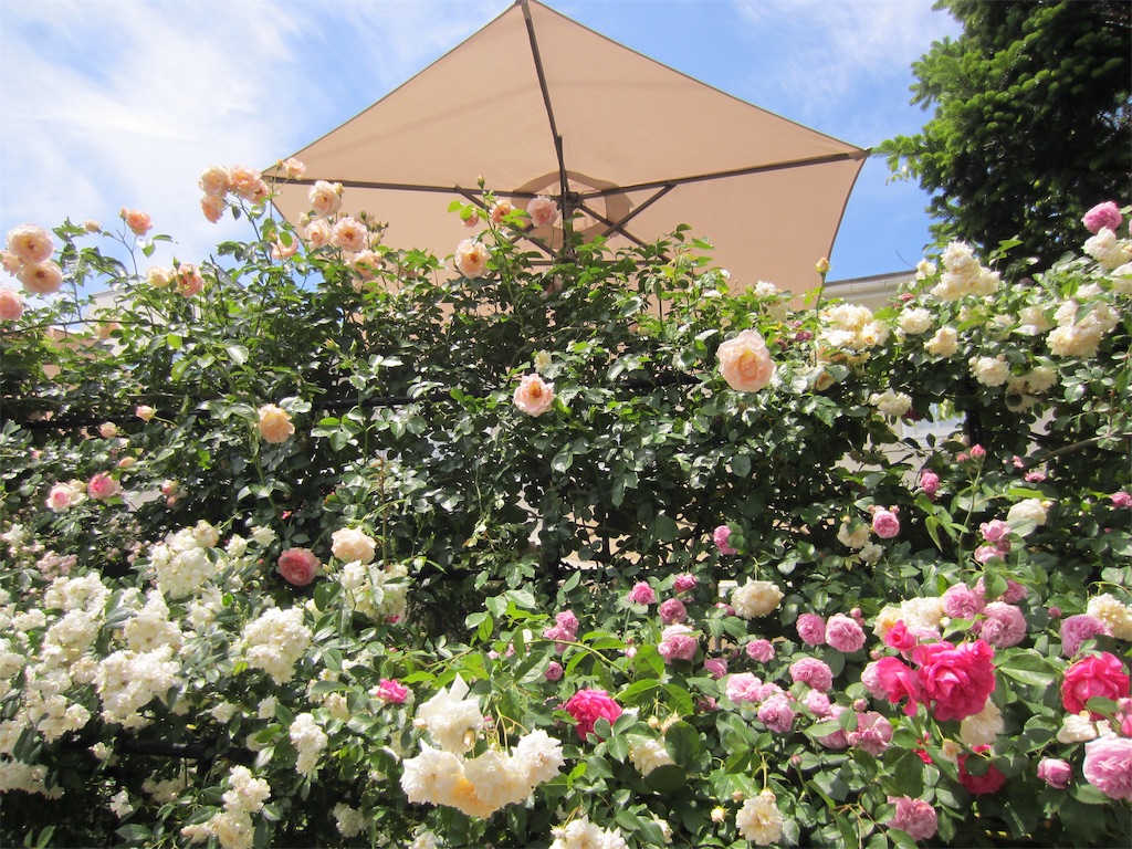 f:id:edwalk:20190523152701j:image