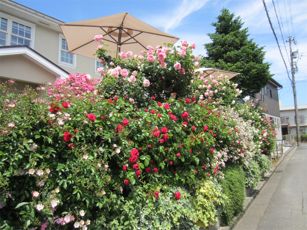 f:id:edwalk:20190523152705j:image