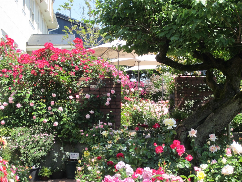 f:id:edwalk:20190525211640j:image